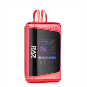 Raz Watermelon Apple Rizzler Flavor DC25000 – Disposable