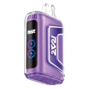 Raz Grape Ice Flavor TN9000 – Disposable