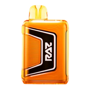 Raz Orange Raspberry Flavor TN9000 – Disposable