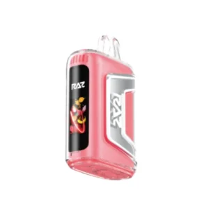 Raz Strawberry Watermelon Flavor TN9000 – Disposable